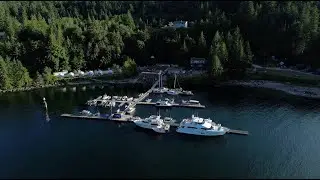 Backeddy Resort and Marina - Magic on the Sunshine Coast