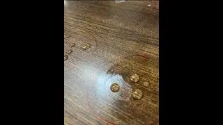 Understanding Angle of Contact: Real Experiment Showing Surface Tension