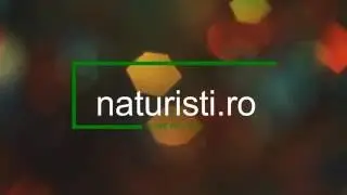 Gama noastră de echipamente sport/fitness
