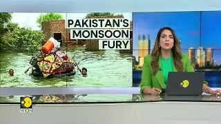 WION Climate Tracker: Over 900 people killed in monsoon rains across Pakistan since June | WION News