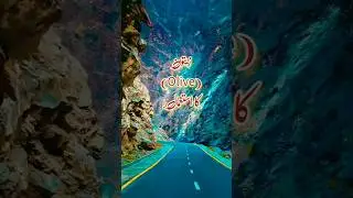 Zaitun olive ke fayde। #shorts #zaitun #viral #shortsfeed #trending