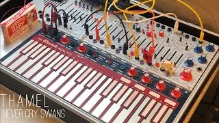 NEVER CRY SWANS -BUCHLA MUSIC EASEL & TAPE LOOPS AMBIENT #buchlamusiceasel #tapeloop #MIRings