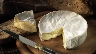 Поговорим немного о молодом сыре Куломье