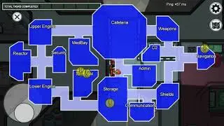 *You disconnected from the server, sent 6 pings that remote has not responded to*