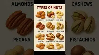 Types of Nuts 🌿💪#shorts #nutritiontips #nuts#healthylifestyle #food #healthylifestyle