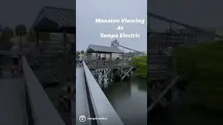 Manatee Viewing Center