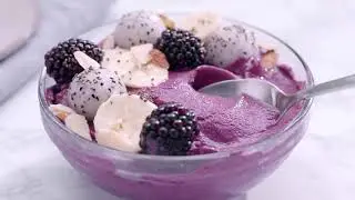 Ninja Blender & Food Processor Combo