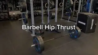 Barbell Hip Thrust