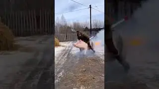Как заработать 150к+ на таких видео👆🏻 рассказываю в тгк: ksuall099