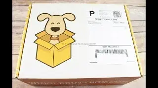 Wigglebutt Box November 2017 Unboxing + $10 Coupon