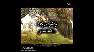 #wojo