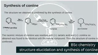 Structure elucidation and synthesis of coniine. #coniine #bscchemistrynotes