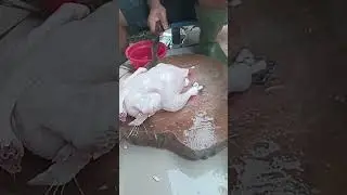 how to cut chicken #tutorial #shortvideo