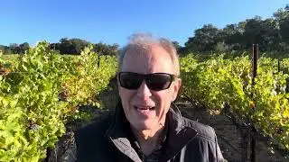 Katherine Goldschmidt Stonemason Hill Alexander Valley Cabernet  October 6, 2025