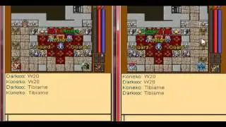TIBIAME WORLD 20 up lv 81 together 