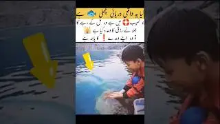 Unbelievable scene in River fish #duet #fishing #fishingvideo #education #inspiration #youtubetime
