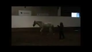G skritt longerad