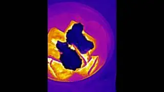 Mouthwatering Visuals: Infrared Camera Captures Hot Ravioli mixed with Tomato Sauce!#Shorts#infrared