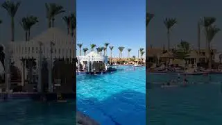 Новый a la carte ресторан Palmera в отеле FUN&SUN FAMILY Sea Beach 4* (Египет) ⛱