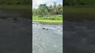 Hidden Gem - Attapadi river (agali) #agali #attapadi #attappady #hiddengem