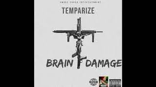 Temparize - Brain Damage (Official Audio)