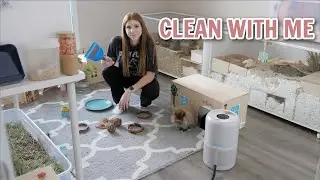 Clean my Pet Room with me! 🧼