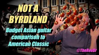 NOT A BYRDLAND - Comparing a Budget Asian Guitar to an American Classic