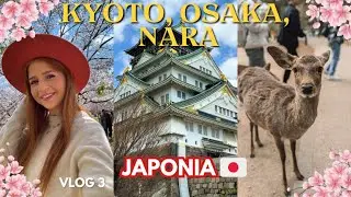 KYOTO🌸 Las bambusowy🎋 Kiyomizu-dera🏮Nara i jelonki 🦌 Osaka🏯| Japonia 3 🇯🇵