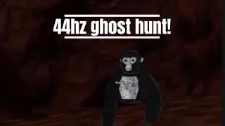 Ghost hunting ￼but I&rsquo;m on 44hz (gtag)