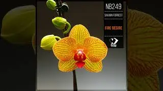 Shawn Forrest - The Golden Ring (Original Mix)