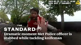 Dramatic moment Met Police officer is stabbed while tackling knifeman in terrifying attack