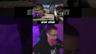 #тендерлибае #twitch #freaksquad #koreshzy #акулич #твич #koresh #парадеевич #жожо #бустер #shorts