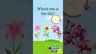 Guess the Flower! | Fun Flower Quiz for Kids 🌸 | Preschool Learning Game
