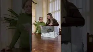 Sorteig Campanya de Comer&ccedil; Nadal 2025