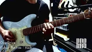 Bacchus BST-1-RSM/M demo