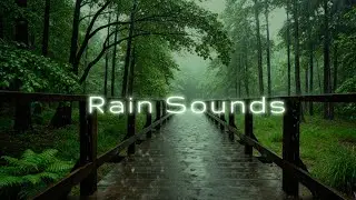 3 Hours Relaxing Rain Sounds 🌧️ Pure Forest Rain for Deep Sleep, Relaxation & Focus
