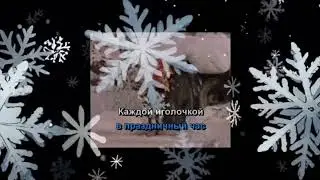 The forest beauty Christmas tree is a holiday and a gift (song with my voice)