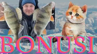 Makšķerē ar Rikardionu nr. 21. Pārsteigumi patīkami. (VIDEO 2025)