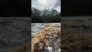 Big shoals state park.   White Springs, Fl