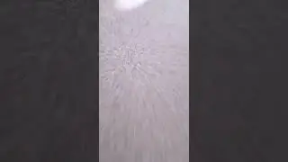 I no clip tro the wal