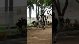 Zulema Ferrer grabacion a Caballo