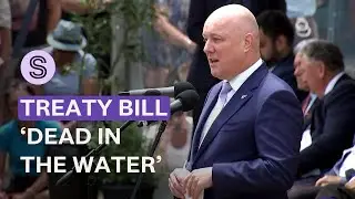PM reassures Treaty Principles Bill is dead at Rātana as ACT pitches privatisation | Stuff.co.nz