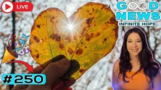 Boy Saves Parents from Tornado + Baby Beaver Rescue | GOOD NEWS &ndash; Infinite Hope #250 w FOLE