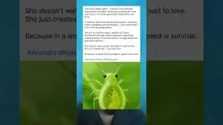explanation of the reproductive stages of peach aphids#shorts #facts #animals
