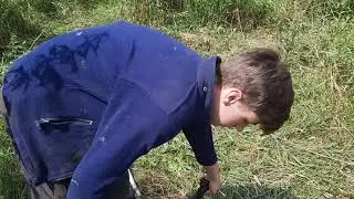 Farmvlog#44 Schafe zur neuen Schafweide bringen