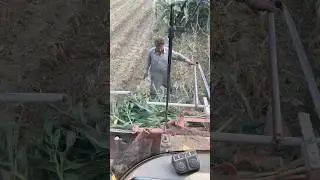 Seated view of silage hard waste #youtubeshorts #farming #trendingshorts #shorts #viralshorts