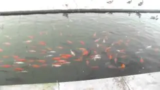 Big Spring Park, Huntsville AL