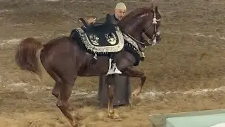 جلال الدبوس و الفارس كرم سرحان في بطولة البحيرة الخامس عشر لادب الخيل 🐎