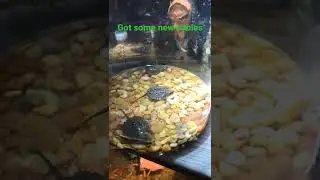 Common Snapping Turtles (New Babies)