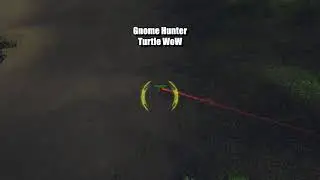 Gnome Hunter - Turtle WoW (WSG PVP) #2